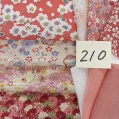 210