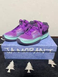 Item thumbnail for item 8b445e4f-e57a-419c-9c1d-809a5c93313c