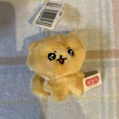 チェゴシム りすゴシム マスコット 匿名配送