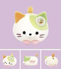 ご当地もちふわころころにゃんこ 2種類(宮崎/鹿児限定) - メルカリ
