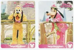 コレクションカード２枚セット