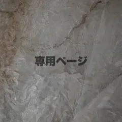 専用ページ
