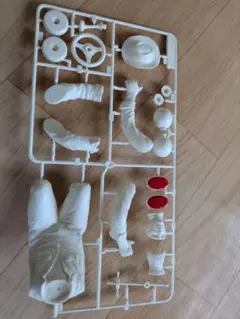 海洋堂 闘神伝 ソフィア 1/8スケール レジンキャストキット ガレージ