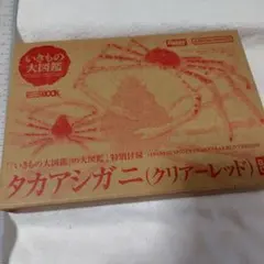 Item thumbnail for item 1d27e457-9f34-406a-b0d2-2e9768f015a6