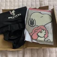 SPRING7月号付録 スヌーピートートバッグ＆保冷ポーチセット