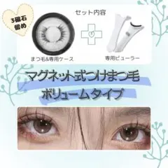 マグネットつけまつ毛 磁気まつげ 時短 ボリューム 接着剤不要 アイメイク