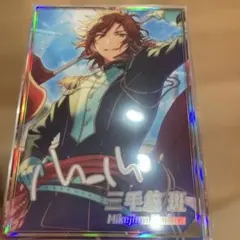 三毛縞斑 ポートレート