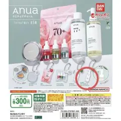 Anua ミニチュアチャーム