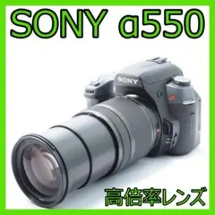 2025年最新】α550 SONYの人気アイテム - メルカリ