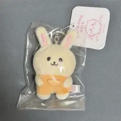 치이카와 パーク ミニマスコットキーリング なんか似てるの 우사기