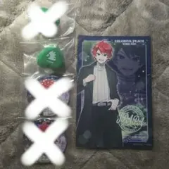 カラフルピーチ じゃぱぱセット 東武動物公園【バラ売り可能】