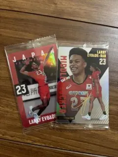 男子バレー　ラリー