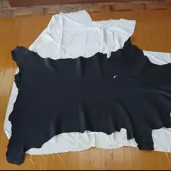 Item thumbnail for item 910cf73a-8667-471d-81db-52130e216896