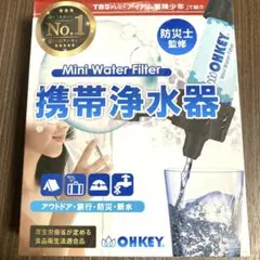 Item thumbnail for item ccd24fe9-aa76-4123-9308-b4fb38866653