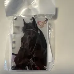 JRA 競馬 ICカード入れ フェノーメノ 新品未使用
