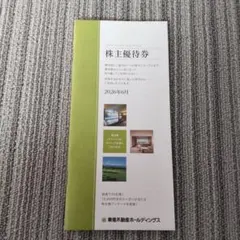 東急不動産ホールディングス 株主優待券 東急不動産ホールディングス 株主優待券5000株以上 - メルカリ