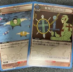アカンパニー 聖騎士の首飾り HUNTER×HUNTER グリードアイランド
