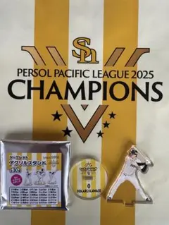 シークレット　川瀬　ホークス　優勝記念 アクリルスタンド