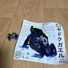 ガチャ　ヤドクガエル