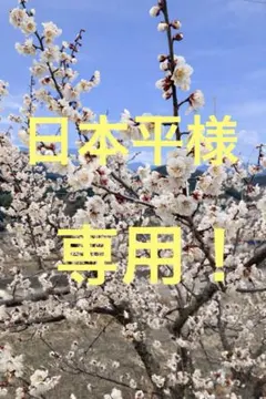 日本平様専用‼️ 和歌山県産[紀州南高梅]‼️無添加❗️すっぱい梅干し‼️