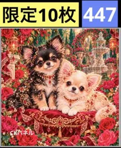 限定10枚！　犬 子犬 わんこ レアパネル生地　無くなり次第終了です