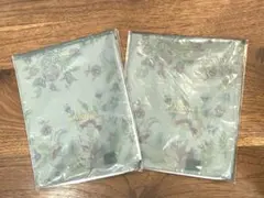 Item thumbnail for item 35780676-60cd-42be-b335-ab29f2a7d9ef