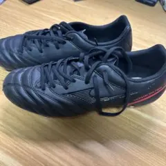 MONARCID NEOⅡ SELECT SI