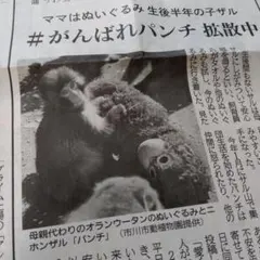 Item thumbnail for item eddcf1ef-2489-42ee-bf15-e83a155a126a