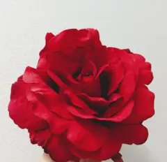 Item thumbnail for item 32bf9e43-9799-47ca-b7d8-0b12fc3f2694