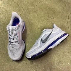 Nike Pegasus Premium HQ2592-004 25.5㎝