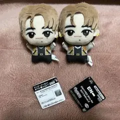 【最安値】ENHYPEN Bite Meちびぐるみvol.2ニキ2体売り！