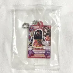 - アイカツ!だれでもアイドル活動アクリルチャーム3 蘭ちゃん -