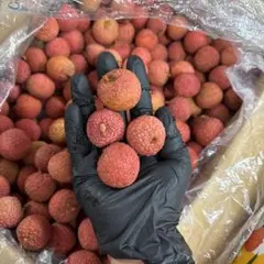 ベトナム産生ライチ約2Kg（冷蔵発送）のサムネイル