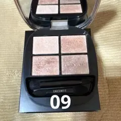 コスメデコルテ　スキンシャドウデザイニングパレット 09 アイシャドウパレット