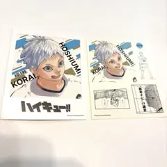 星海光来 フォトカード&ステッカーコレクション 第2弾 ハイキュー