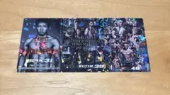 RIZINポテトスティックカード　3枚セット