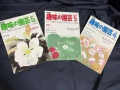 Item thumbnail for item 5a6537aa-abc3-4348-adcf-6a3a8eaa3380