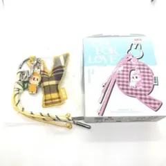 popmart PIN FOR LOVE シリーズアルファベット ラブブ