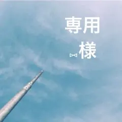 専用ページ Blue Moon(プロフ必読)様 - メルカリ
