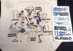 【未使用】 MLB PLAYERS 選手集合トートバッグ＆タオルセットのサムネイル