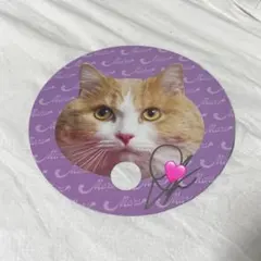 藤原樹 サイン入り うちわ マース