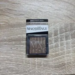 マキアージュカスタマイズアイカラーBR533