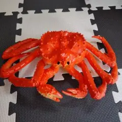 リアルカニフィギュア オレンジ 赤　BIG　フィギュア 約30cm