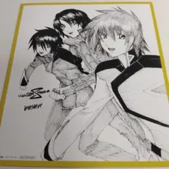 ガンダムSEED フリーダム イラストカード