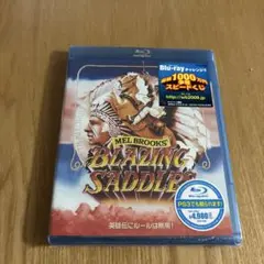 ブレージングサドル