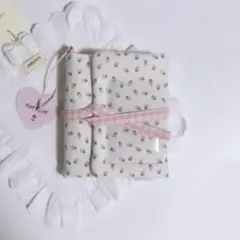 トレカケース コレクト A6 5穴 中国作家 ウィッシュコア 羽 ピンク