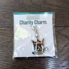 嵐★ARASHI チャリティーチャーム 王冠デザイン　★キーホルダー