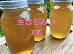 リピータ多数 プロが絞った味わいのある国産百花蜜 梅酒瓶入り2.5 