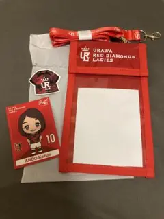 浦和レッズレディース チケットホルダー（安藤梢選手スティッカー付き）