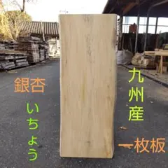 Item thumbnail for item 4d7e24d6-41fe-4ddc-b0ba-beb5bc82ac74